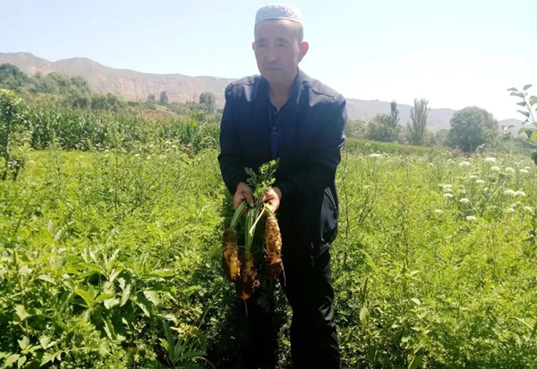 201911071573119096124077.jpg 640.webp (7).jpg